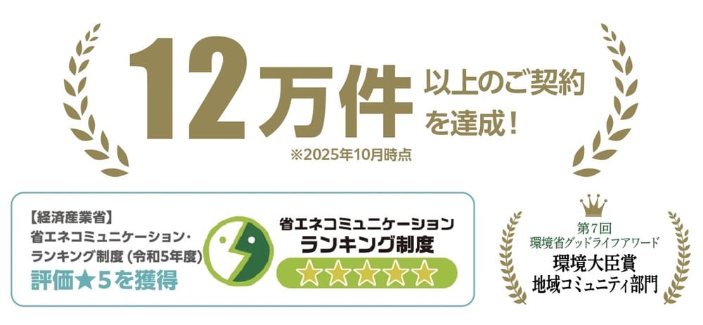 シン・エナジーの実績