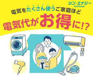 シン・エナジー